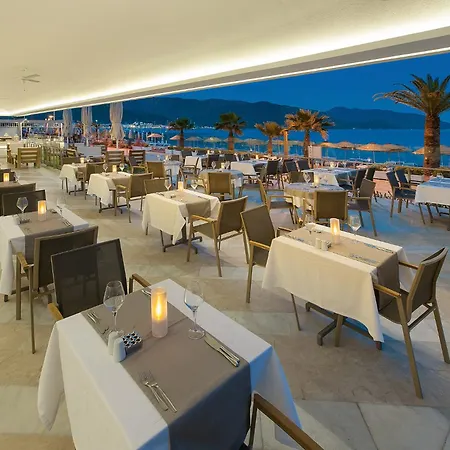 The Beachfront Adult Only 16