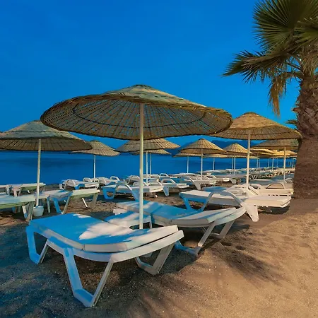 Отель The Beachfront Adult Only 16 3*