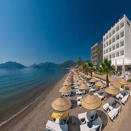 The Beachfront Adult Only 16 Hotel