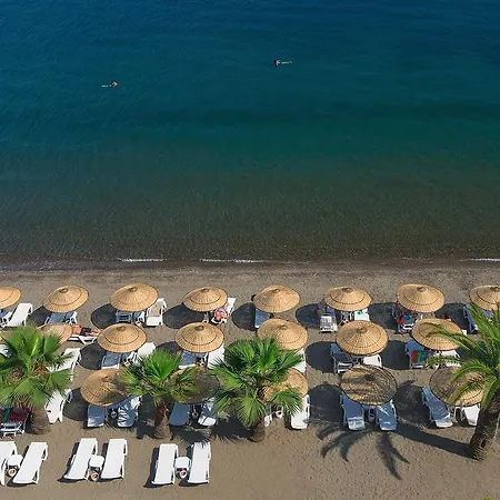 The Beachfront Adult Only 16 מרמריס